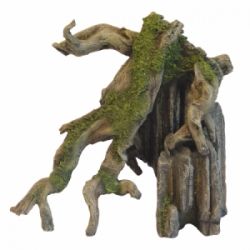Nobby akvarijní dekorace KOŘEN NA SKÁLE 34,5 x 16 x 33 cm